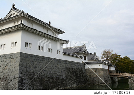 静岡・駿府城公園 47289313