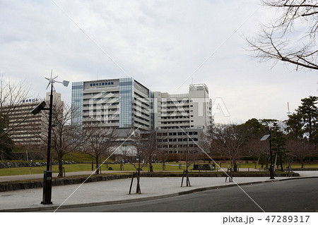 静岡・駿府城公園 47289317