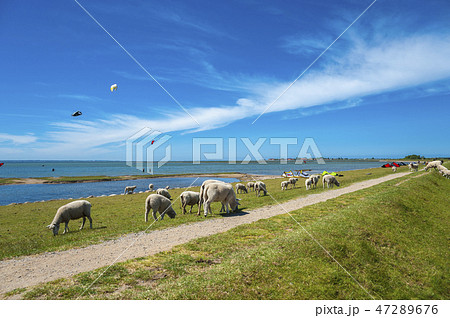 Fhe flood embankment in Lemkenhafen 47289676