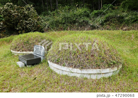 墓参り 説 正月 47290068