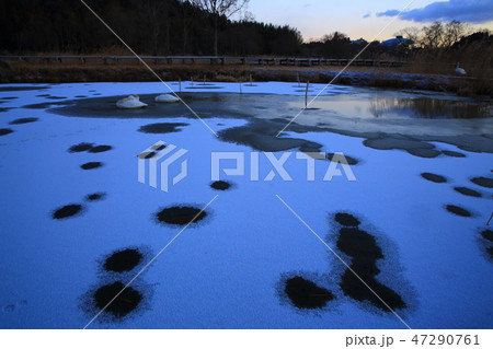 伊豆沼の夜明け 47290761