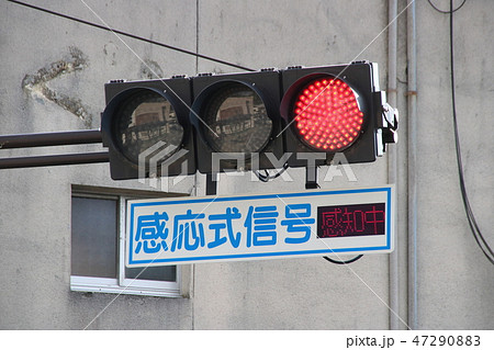 感知中」表示機が併設されている感応式信号機。の写真素材 [47290883