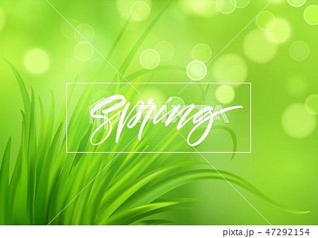 Frash Spring green grass background with handwriting lettering. Vector illustration Frash Spring green grass background with handwriting lettering. Vector illustration 47292154