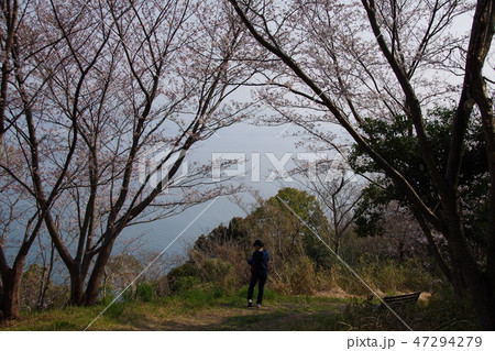 高津子山から 47294279