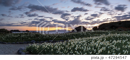 爪木崎の日の出前 47294547