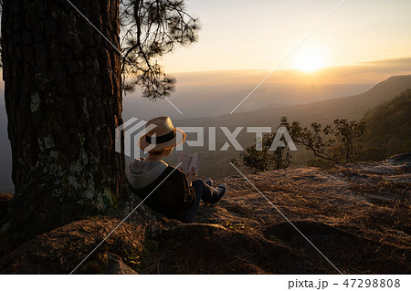 Woman sitting under pine tree reading book 47298808