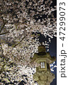 夜桜 47299073
