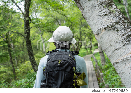 栃木県日光市　戦場ヶ原　ハイク（8月） 47299689