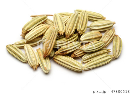 Dried fennel seeds on white background Dried fennel seeds on white background 47300518