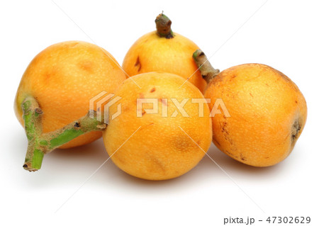 Ripe Loquat fruit or Japanese Plum 47302629