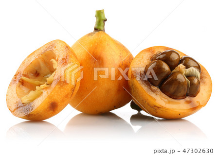Ripe Loquat fruit or Japanese Plum 47302630