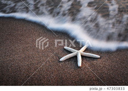 Amazing Mediterranean seascape with golden sand Amazing Mediterranean seascape with golden sand 47303833