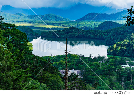 栃木県日光市　湯ノ湖と戦場ヶ原　（8月） 47305715