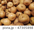 Colombian Creole potato (papa criolla). Raw tuber 47305898