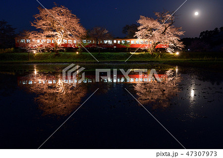 小湊鐡道と夜桜と月 47307973