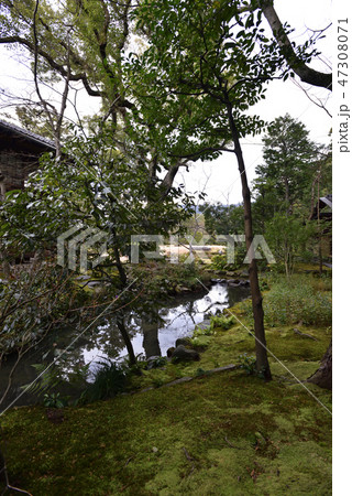 無鄰菴　池泉回遊式庭園 47308071