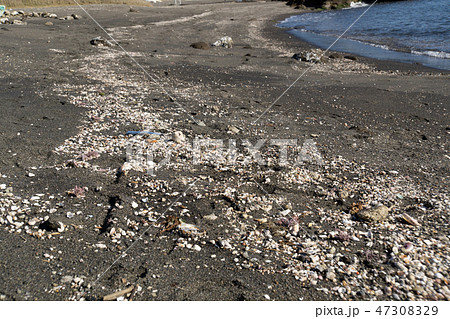 砂浜に打ち上げられた漂着ゴミ　プラスチック破片 47308329
