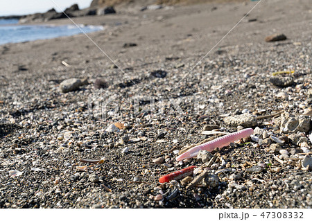 砂浜に打ち上げられた漂着ゴミ　プラスチック破片 47308332