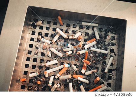 Close-up of cigarettes butts on meshing tray trash Close-up of cigarettes butts on meshing tray trash 47308930