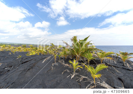 KAIMU BEACH PARK,Big Island Hawaii 47309665