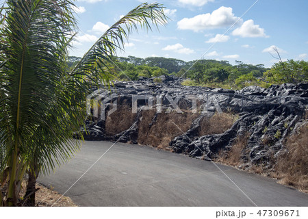 PAHOA,Big Island Hawaii 47309671