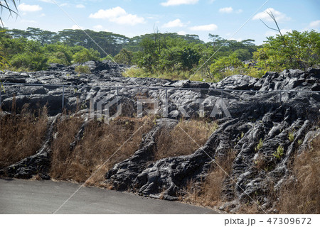 PAHOA,Big Island Hawaii 47309672