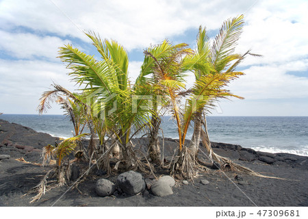 KAIMU BEACH PARK,Big Island Hawaii 47309681