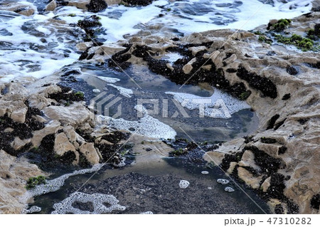 北茨城市・万葉の道(ささき浜の海食棚) 北茨城市・万葉の道(ささき浜の海食棚) 47310282