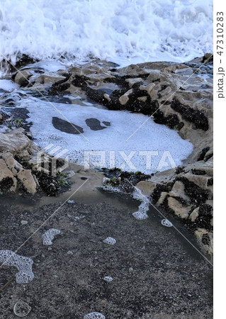 北茨城市・万葉の道(ささき浜の海食棚) 北茨城市・万葉の道(ささき浜の海食棚) 47310283
