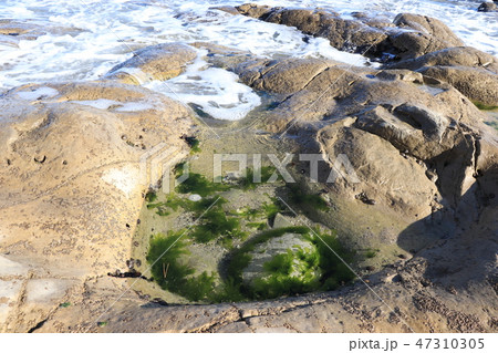 北茨城市・万葉の道(ささき浜の潮溜り) 北茨城市・万葉の道(ささき浜の潮溜り) 47310305