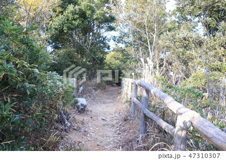 北茨城市・万葉の道 北茨城市・万葉の道 47310307