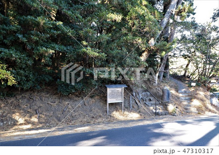 北茨城市五浦海岸（岡倉天心の墓） 47310317