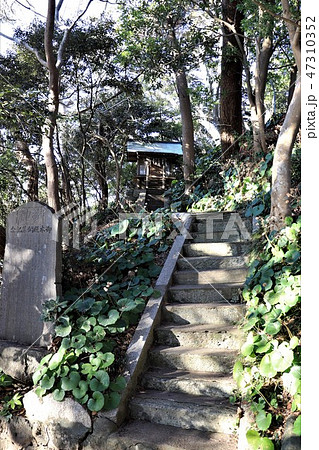 北茨城市・天紀山(弟橘媛神社) 北茨城市・天紀山(弟橘媛神社) 47310352