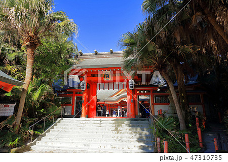 青島神社_宮崎市　恋の島・縁結び・利益 47310735