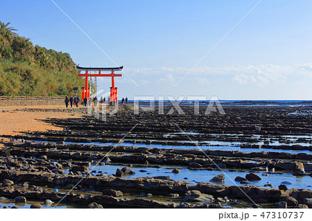 青島神社_宮崎市　恋の島・縁結び・利益 47310737