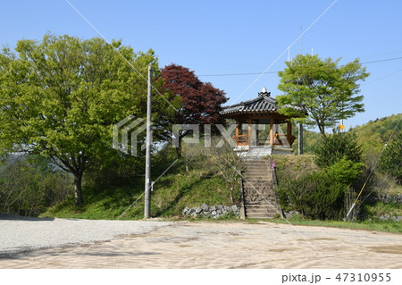 風景 自然 自然の風景 47310955