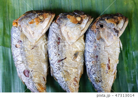 Mackerel fish fried on banana leaf  47313014