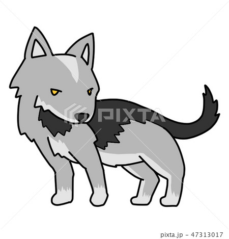 オオカミのイラスト素材 [47313017] - PIXTA