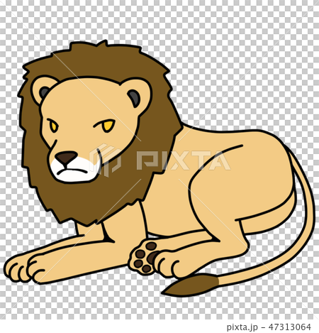 獅子 47313064