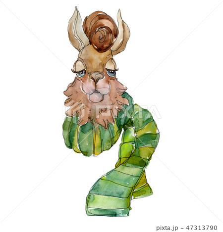 Cartoon character lama animal in a watercolor style. Watercolor background illustration set Cartoon character lama animal in a watercolor style. Watercolor background illustration set 47313790