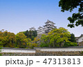 Himeji Castle, Japan 47313813