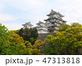 Himeji 47313818