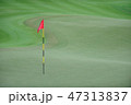 Golf Putting Green 47313837