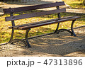 park bench in autumnal sun 47313896