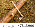 ax at a sawn tree 47313900