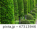 Garden 47313946