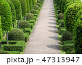 Garden 47313947