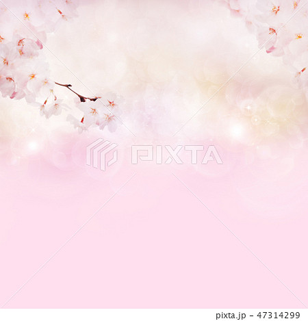 春 桜 ピンク グラデーション 和 和風 和柄 背景 和紙のイラスト素材