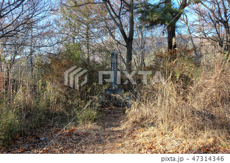 ■  要害山城  ■  武田信玄公誕生之地  ■躑躅ヶ崎館の詰城■ 山梨県 ■ 武田勝頼、武田信虎 47314346