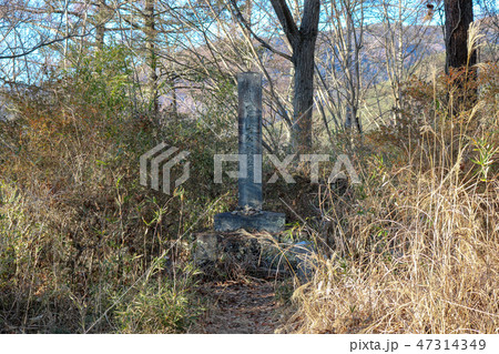 ■  要害山城  ■  武田信玄公誕生之地  ■躑躅ヶ崎館の詰城■ 山梨県 ■ 武田勝頼、武田信虎 47314349